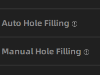 Auto and manual hole filling