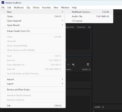 Adobe audition new multitrack session